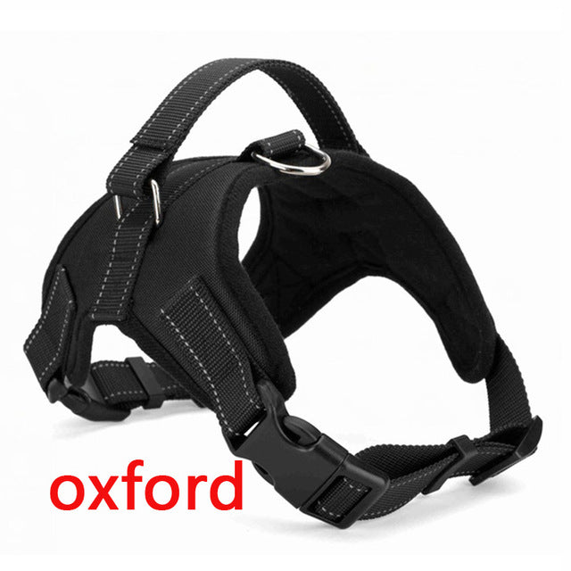 Lead Vaist Pet Harness