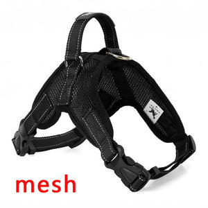 Lead Vaist Pet Harness