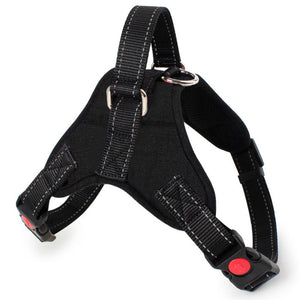 Training Reflective Harness