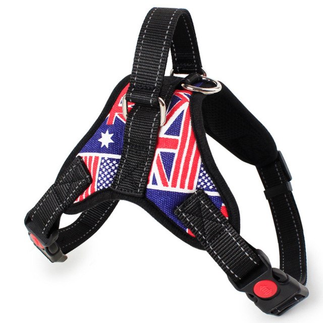 Training Reflective Harness