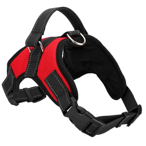 Small - Large dog Harness