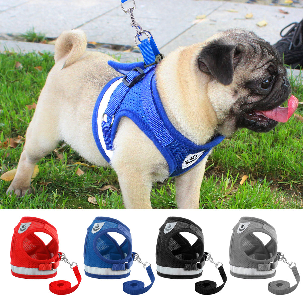 Small - Medium Harness