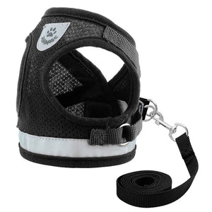 Small - Medium Harness