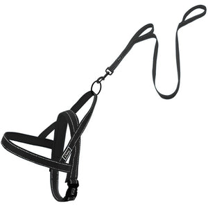 Small - Large No pull harness